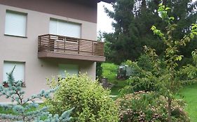 Apartments Soca